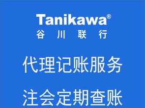 专业财税服务 一站式承接武清企业注册与税务咨询